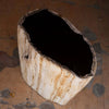 Petrified Wood Stool 13"x 8" x 15'h- Cream/Black Core Rare Side Table