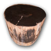 Petrified Wood Stool-16"h- Rare Ivory Ring/Black Core Side Table by Aire