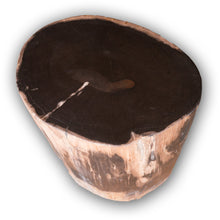 Petrified Wood Stool-16"h- Rare Ivory Ring/Black Core Side Table by Aire