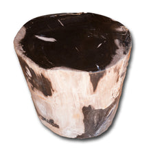 Petrified Wood Stool-16"h- PF-2128 -Black