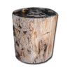 Petrified Wood Stool-16"h- PF-2153