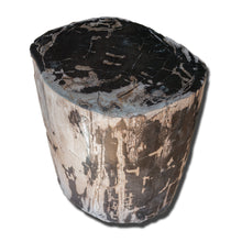 Petrified Wood Stool- 18"h- PF2154