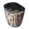 Petrified Wood Stool- 18"h- PF2154