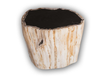 Petrified Wood Stool 13"x 8" x 15'h- Cream/Black Core Rare Side Table