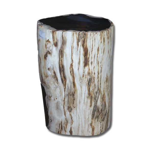 PF-2160 Petrified Wood Stool by AIRE Furniture