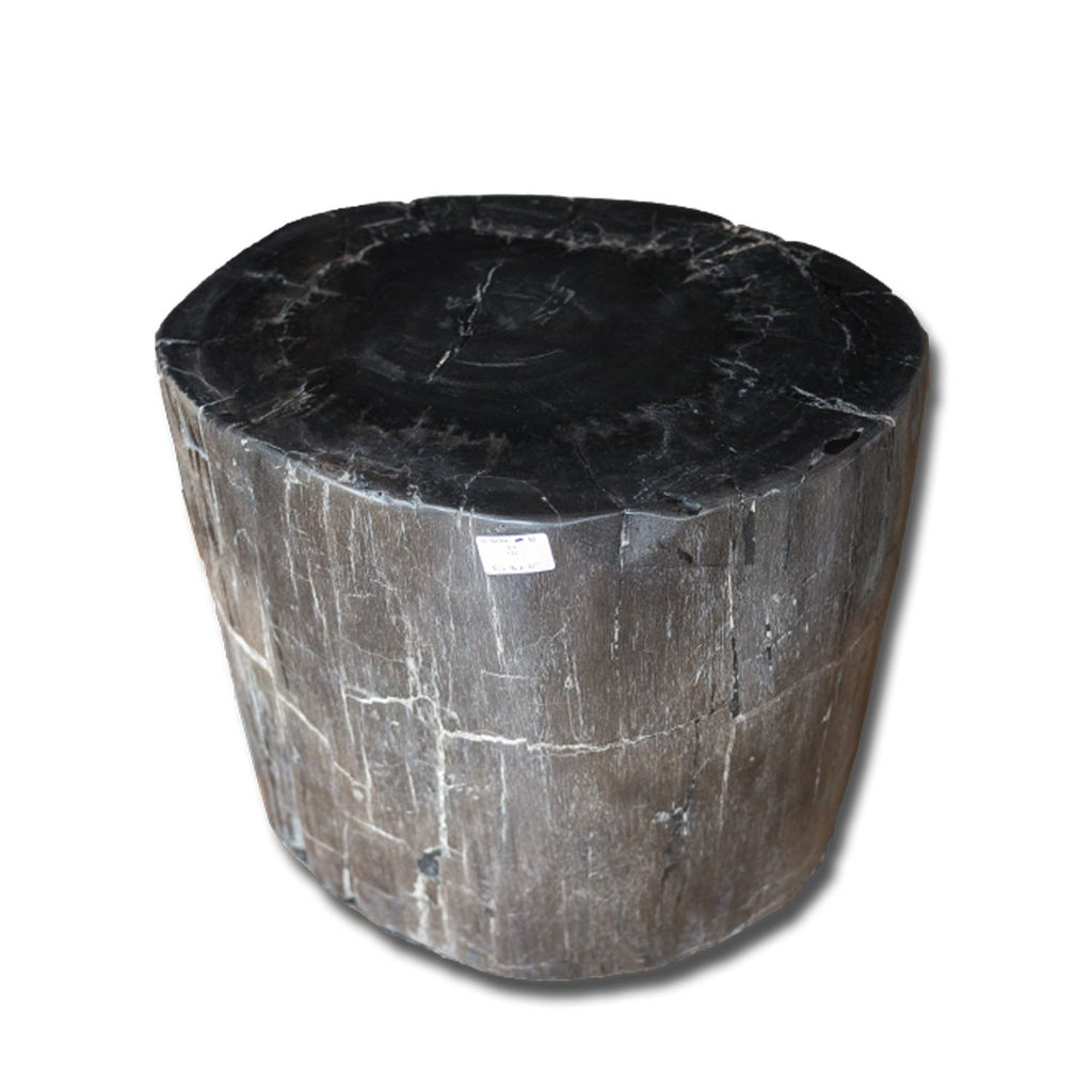 Petrified Wood Stool PF-2167