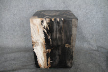 Square Petrified Wood Log Stool 18" x 12" x 12" -0086.19 or 86.19