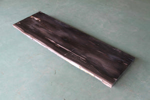 Petrified Wood Slab 47" X 16" X 2"H - PFC087/20 Aire Furniture