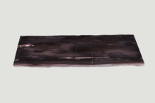 Petrified Wood Slab 47" X 16" X 2"H - PFC087/20 Aire Furniture