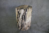 Petrified Wood Log Stool  10 x 9 x 16.5 - 108.21