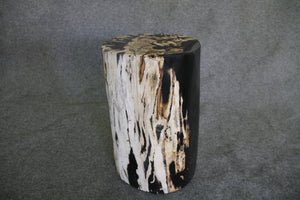 Petrified Wood Log Stool  10 x 9 x 16.5 - 108.21