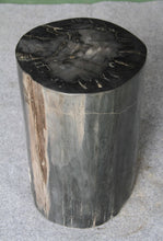 Petrified Wood Log Stool 13" x 12" x19"H -PFST1198/19
