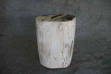 Petrified Wood Log Stool 12 x 9 x 17 - 1402.21