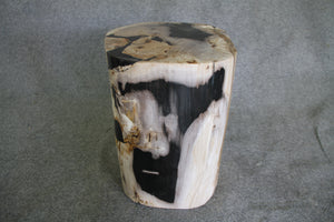Petrified Wood Log Stool 16" x 13" x 12" - 1534.22