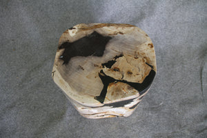 Petrified Wood Log Stool 16" x 13" x 12" - 1534.22