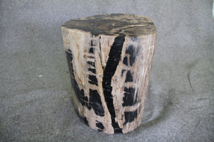 Petrified Wood Log Stool 15" x 13" x 16" - 1631.22