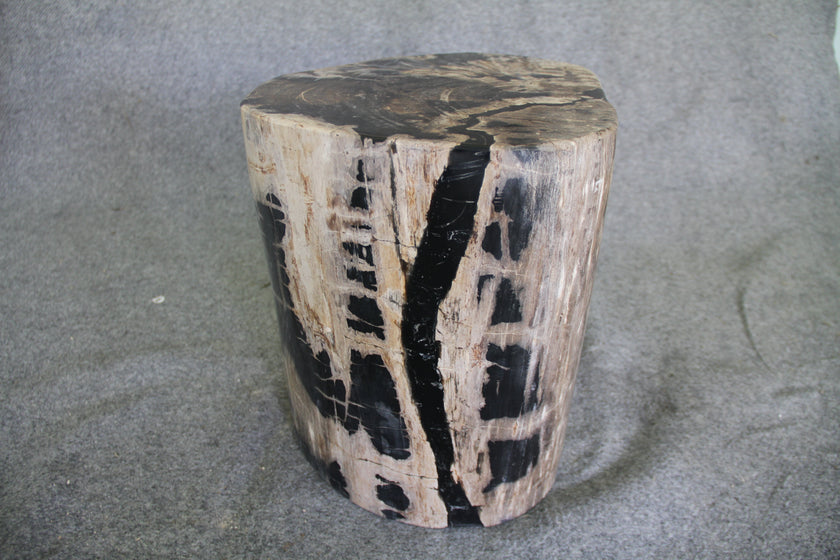 Petrified Wood Log Stool 15