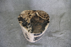 Petrified Wood Log Stool 15" x 13" x 16" - 1631.22