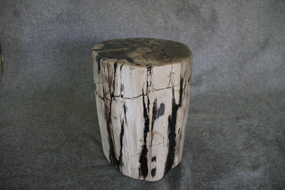Petrified Wood Log Stool 11" x 11" 16" 1682.21