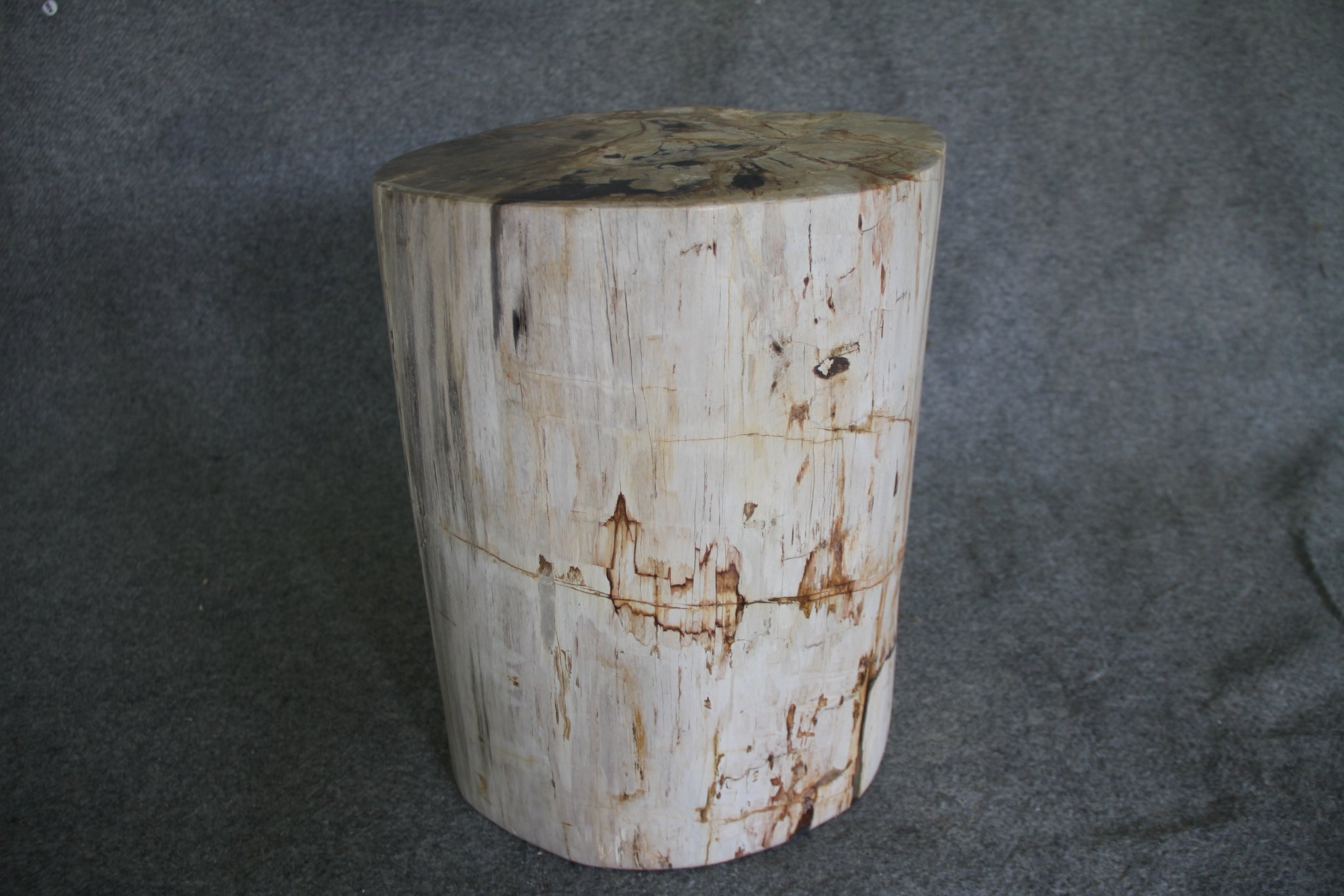 Petrified Wood Log Stool 18