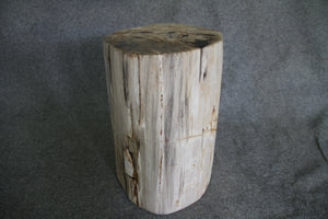Petrified Wood Log Stool 18" x 14" x 12" - 1803.22