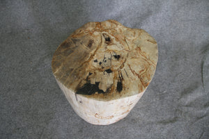 Petrified Wood Log Stool 18" x 14" x 12" - 1803.22