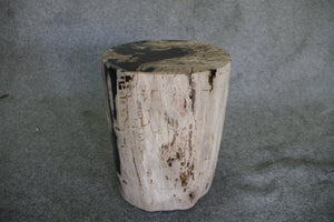 Petrified Wood Log Stool 11" x 13" x 16" - 1985.21