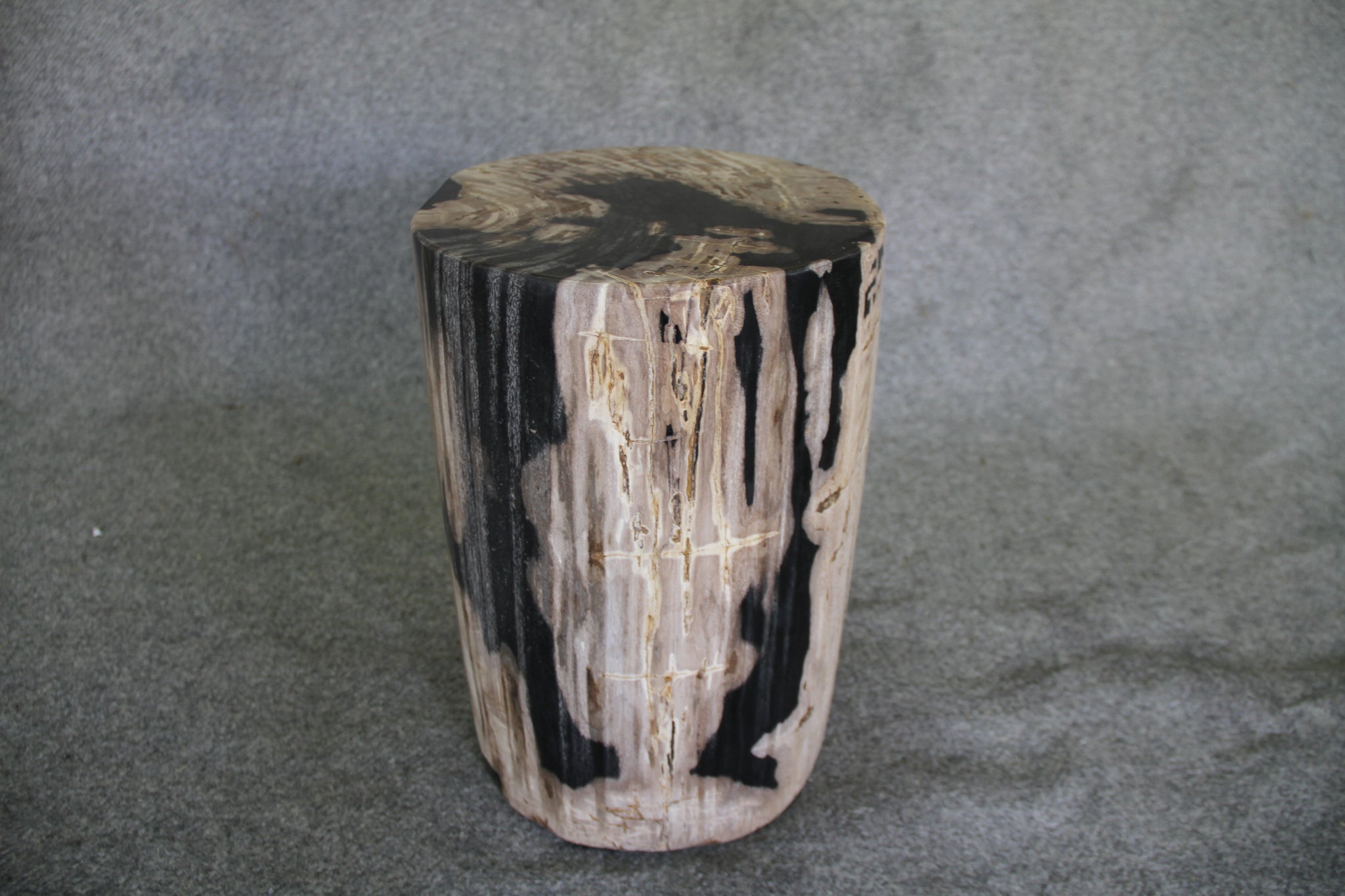 Petrified Wood Log Stool 11