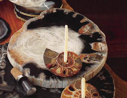 Petrified Wood Slice Cheese Tray – Aire Furniture