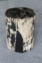 Petrified Wood Log Stool 10"x9"x16"H -PFST0334/20