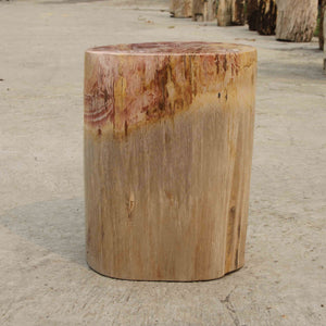 Petrified Wood Log Stool 13"x 9"x 18"H -PFST0673/19