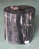 Petrified Wood Log Stool 16"x 12"x 18"H -PFST0742/19