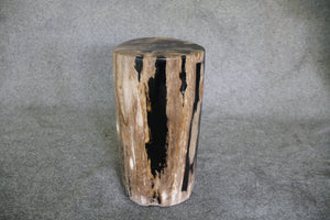 Petrified Wood Log Stool 10" x 10" x 16.5" - DV.1.112