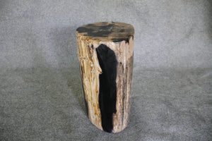 Petrified Wood Log Stool 10" x 10" x 16.5" - DV.1.112