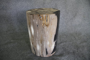 Petrified Wood Log Stool 18" x 11" x 11" - DV.1.113