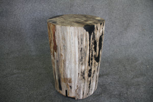 Petrified Wood Log Stool 18" x 11" x 11" - DV.1.113