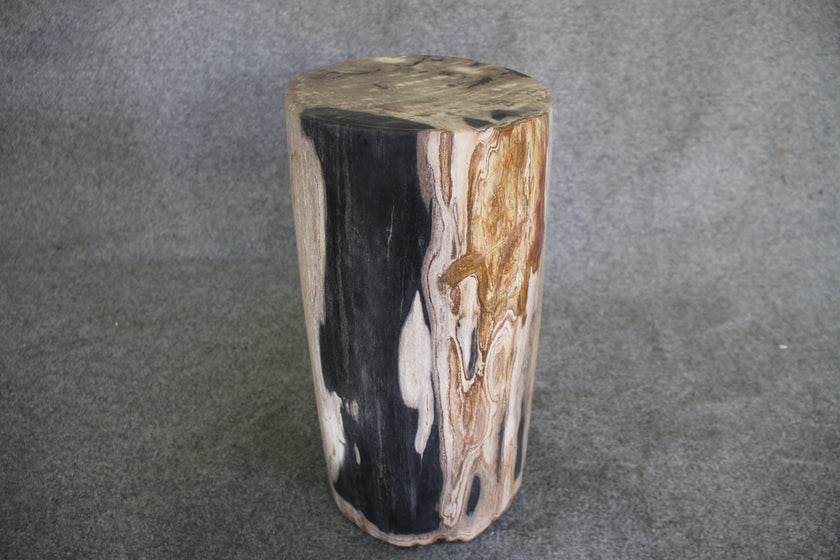 Petrified Wood Log Stool 18