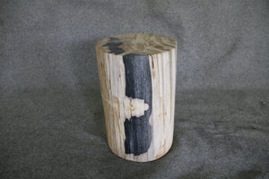 Petrified Wood Log Stool 16" x 13" x 11" - DV.1.175