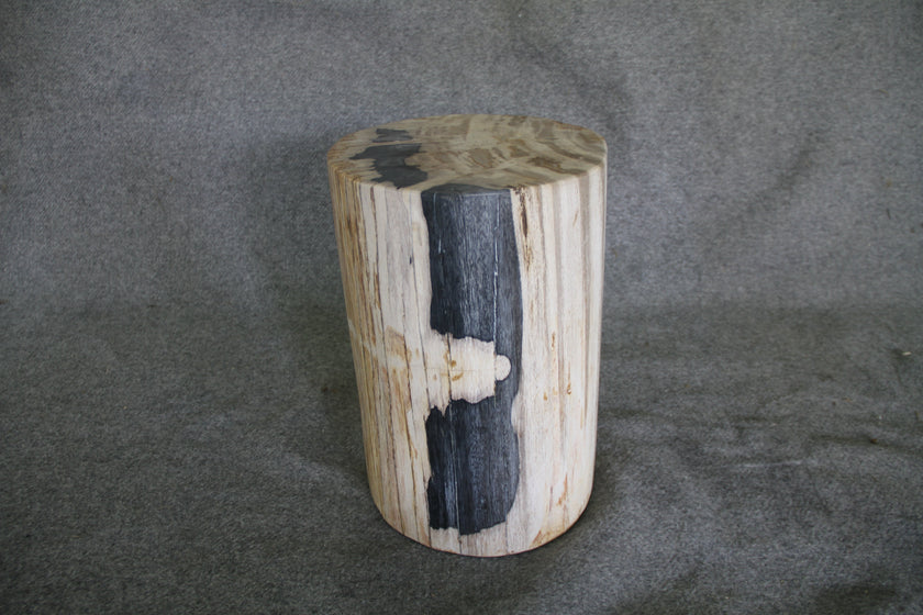 Petrified Wood Log Stool 16