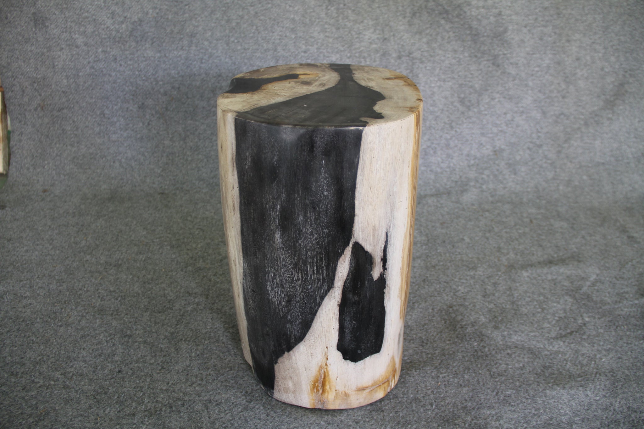 Petrified Wood Log Stool 16