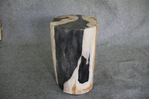 Petrified Wood Log Stool 16" x 11" x 10" - DV.1.195