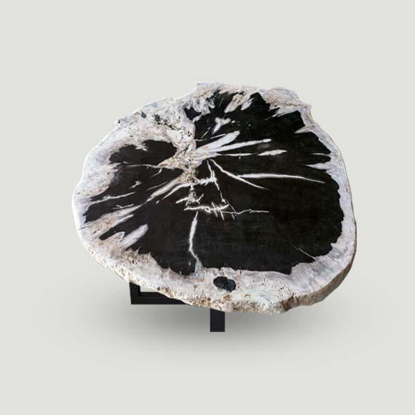 petrified wood tables and slabs