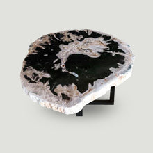 Petrified Wood Slab 24" x 26" Coffee Table PF1118  by Aire Furniture