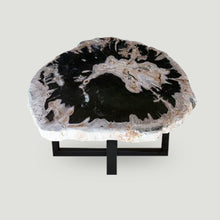 Petrified Wood Slab 24" x 26" Coffee Table PF1118  by Aire Furniture
