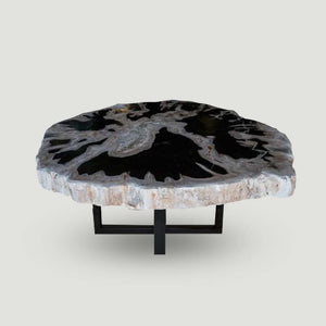 Products Petrified Wood Slab- 20" x 17"- with Custom Made Base- PF1106 -Coffee Table/ Side Table
