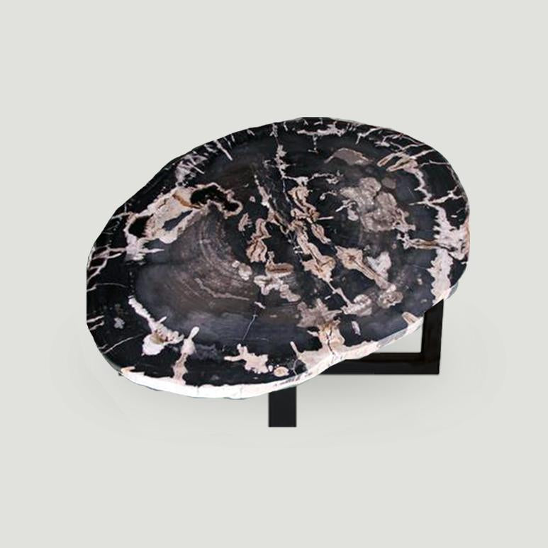 Petrified Wood Slab Coffee Table - 36