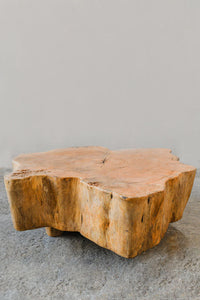Mango Wood Low Coffee Table by Artisan Living-ALF1165-3