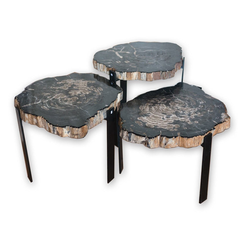 Petrified Wood Side Tables PF-1080 by AIRE Furniture