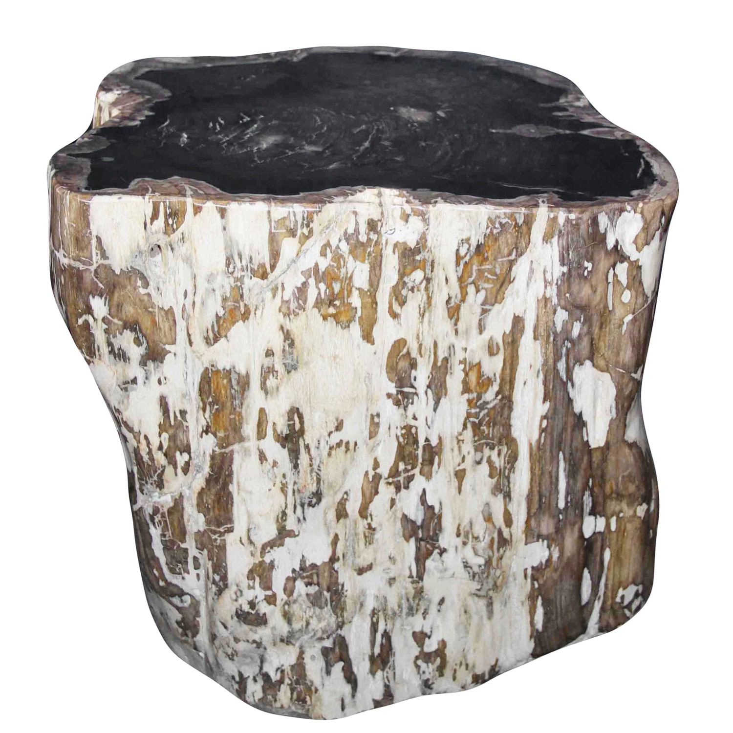Petrified Wood Log Stool PF-2029 by AIRE Furniture