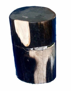Petrified Wood Stool-18"h-PF2057-Ebony Black